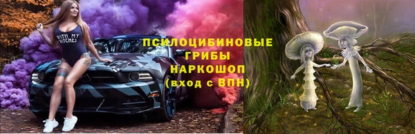 ПСИЛОЦИБИНОВЫЕ ГРИБЫ Лагань