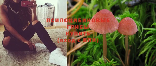 ПСИЛОЦИБИНОВЫЕ ГРИБЫ Лагань